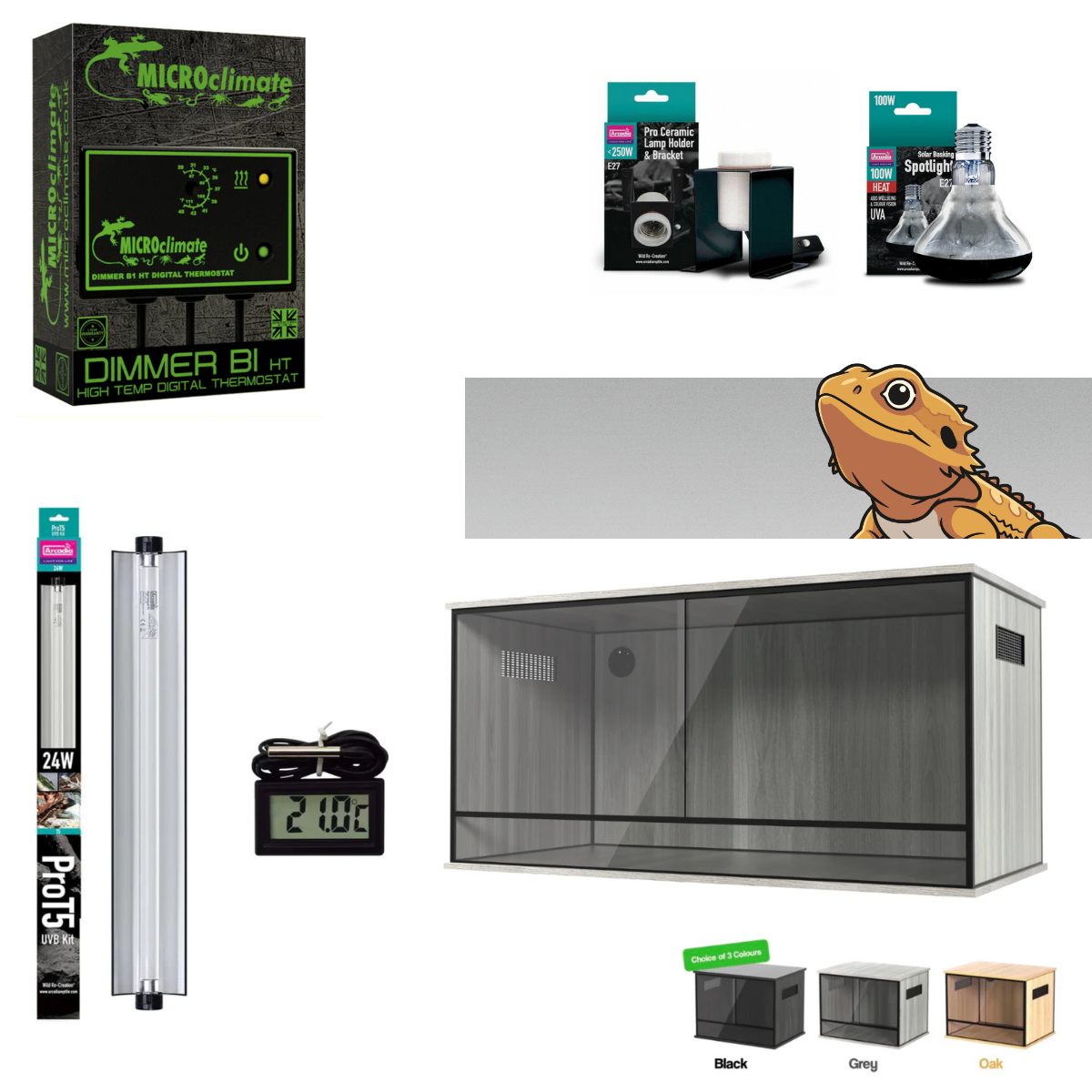 Bearded Dragon Starter Kit (Silver)