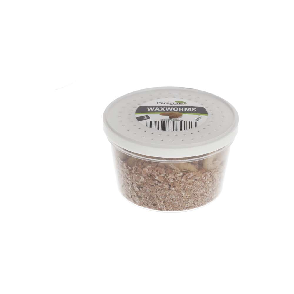 Live Waxworms