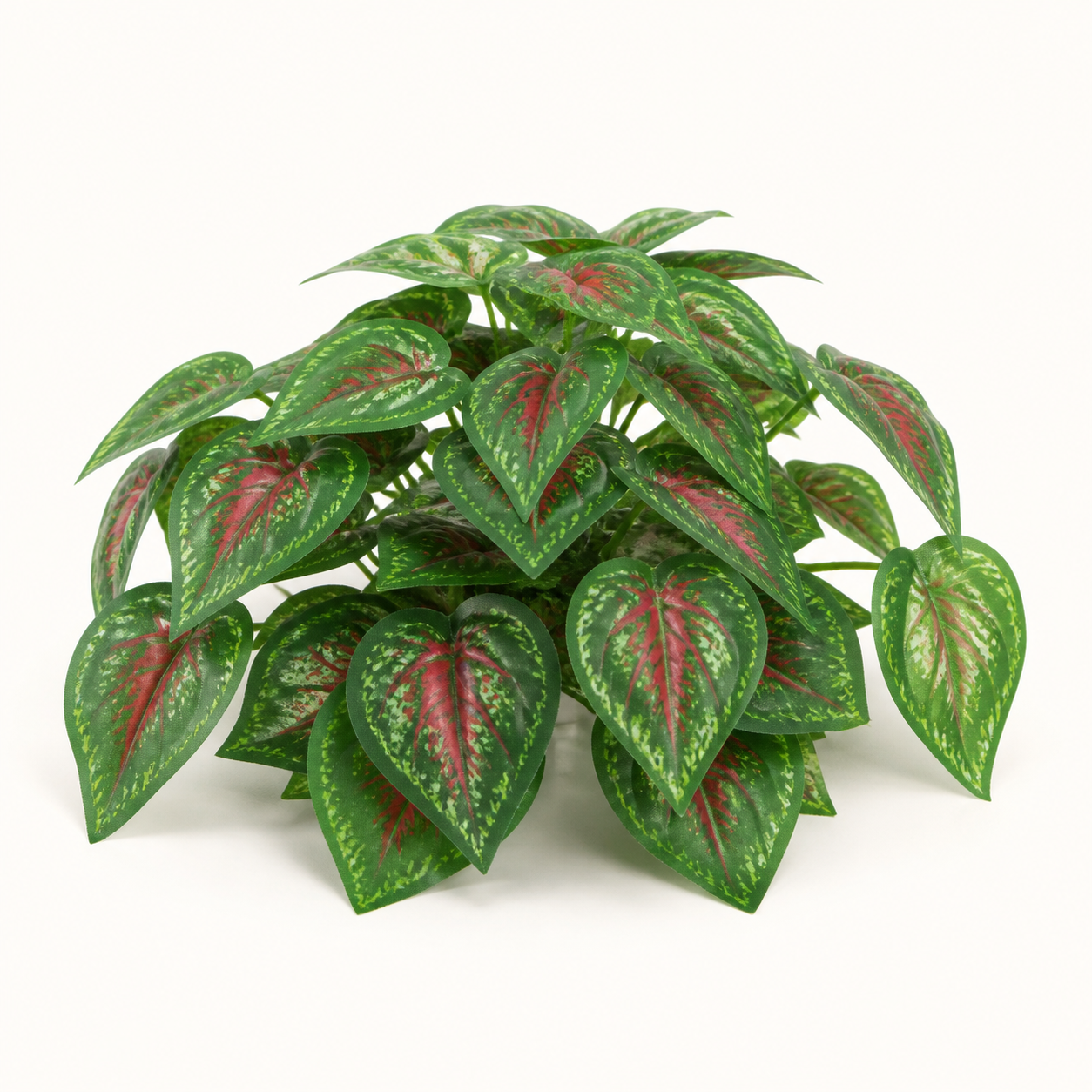 Komodo Red Pathos Canopy 13cm