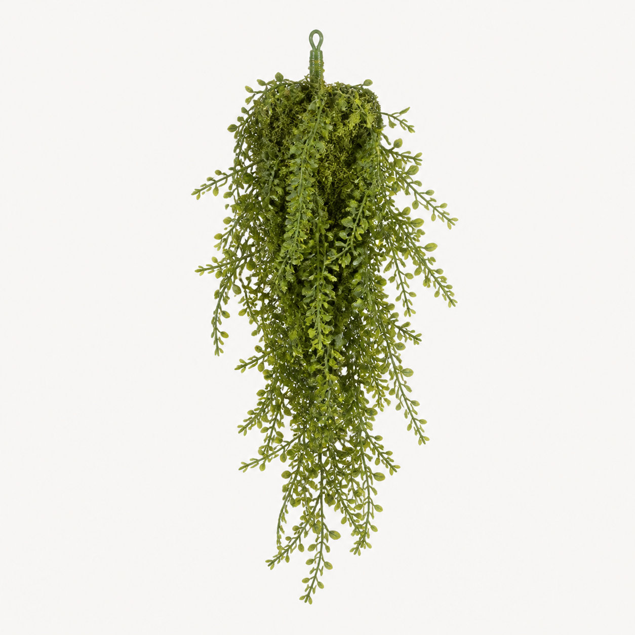 Komodo Thyme-Moss Leaf Hanging Plant 50cm