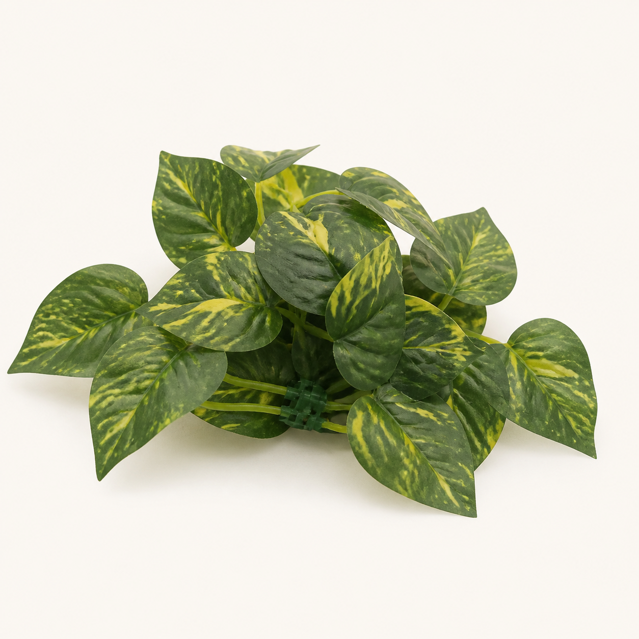 Komodo Yellow Pathos Canopy 13cm