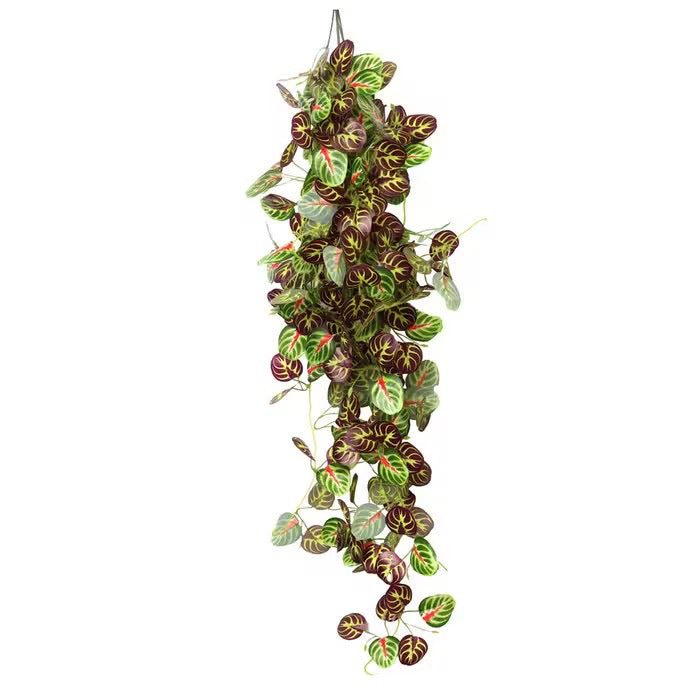 HabiStat Hanging Vine Plus, 100cm