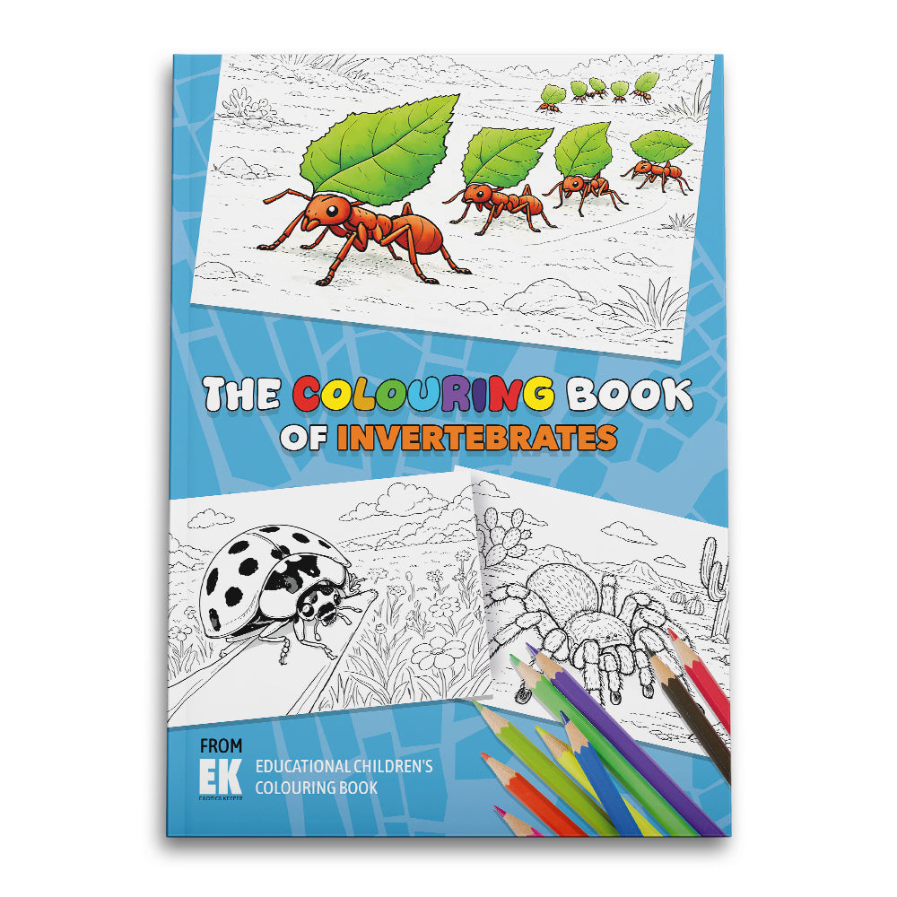 The Colouring Book of Invertebrates