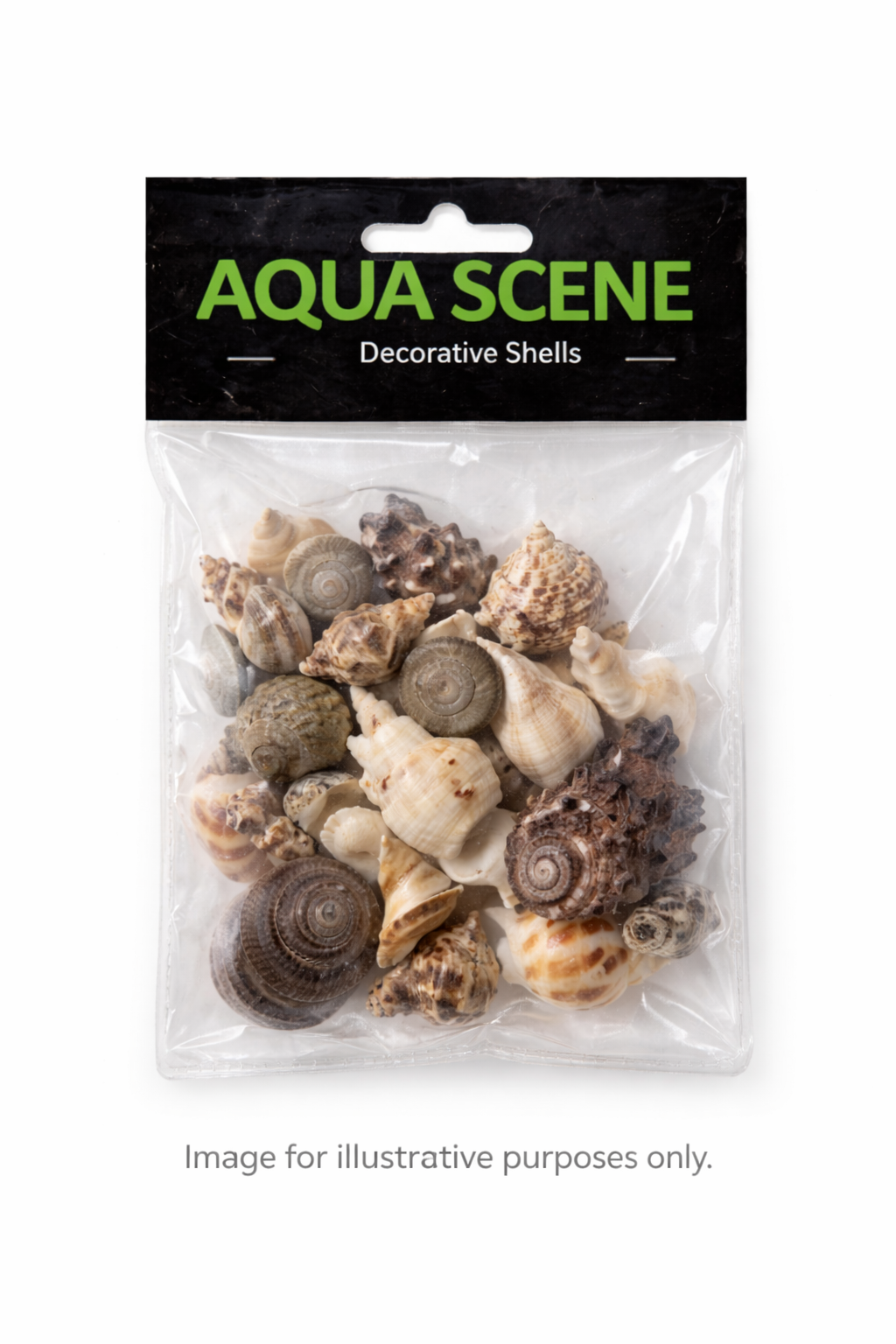 Aquascene Mixed Decorative Shells (Approx 20)