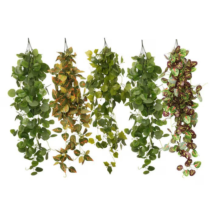 HabiStat Hanging Vine Plus, 100cm