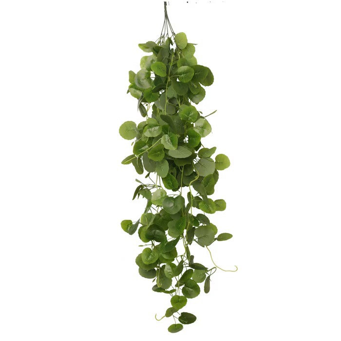 HabiStat Hanging Vine Plus, 100cm