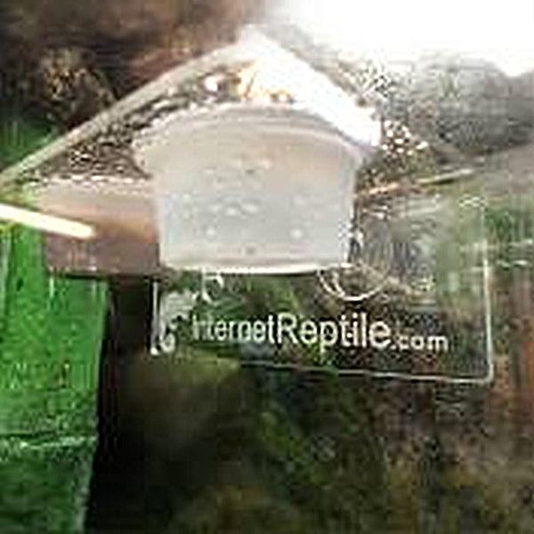 Gecko Voedsel Schotel, Hars Verwijderbare Feeder, Gecko Ledge Hagedis Gecko Voedsel Schotel, Hars Verwijderbare Feeder, Gecko Ledge Hagedis