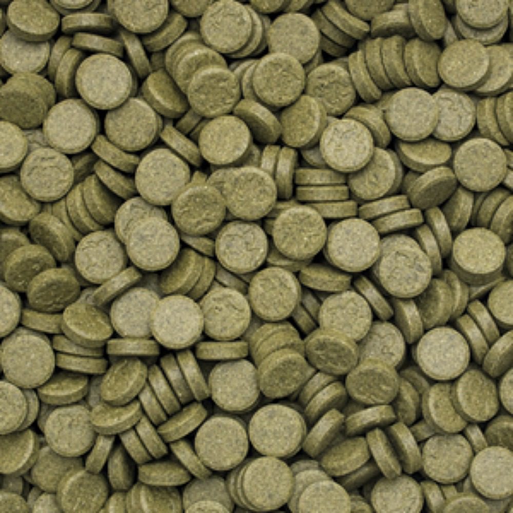 Tropical 3-Algae Tablets A product information