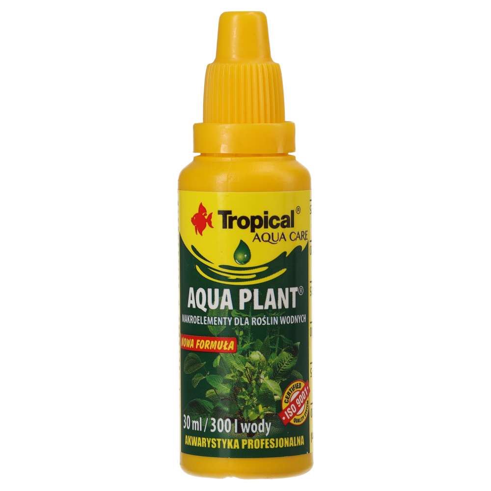 Tropical Aqua Plant product image