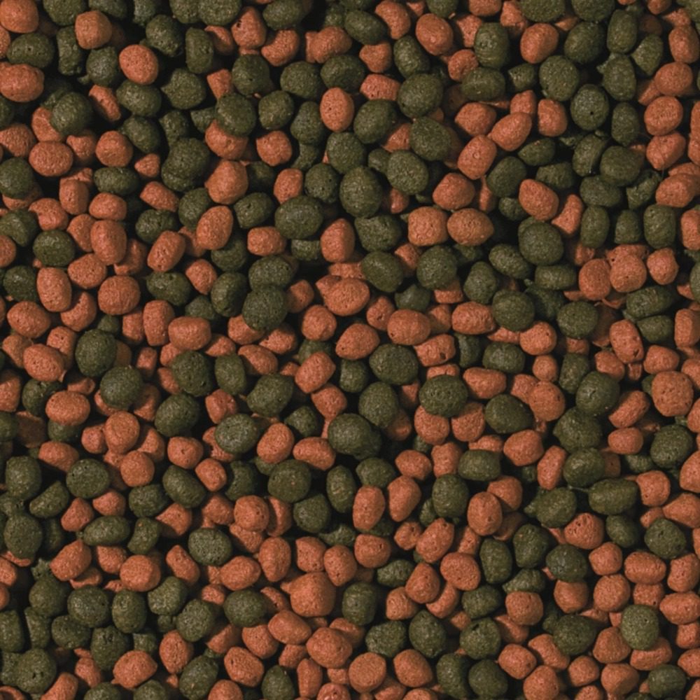 Tropical Cichlid Omnivore Medium Pellet product information