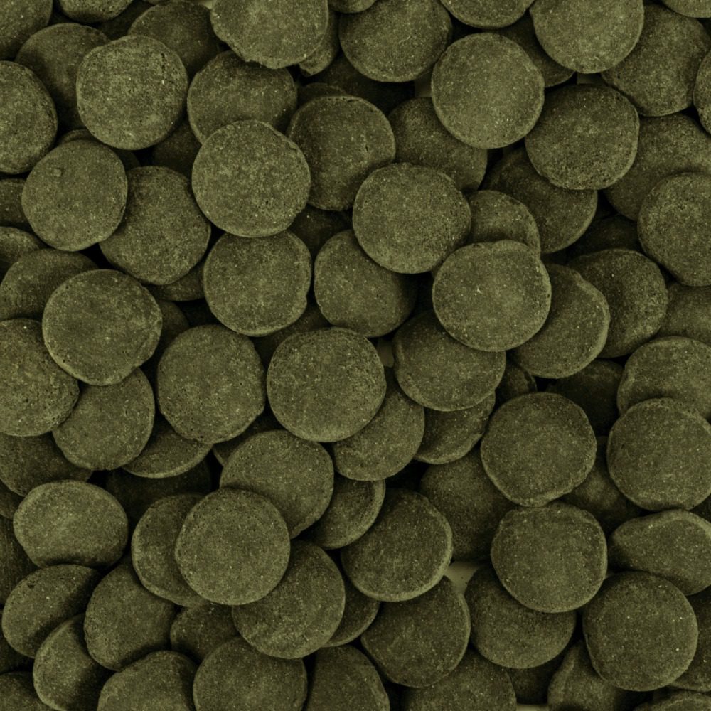 Tropical Hi-Algae Discs XXL product information
