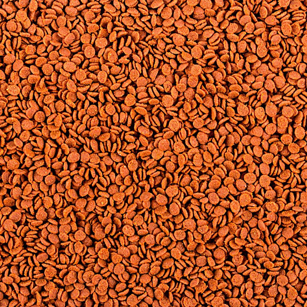 Tropical Soft Line Africa Carnivore m 52g product information