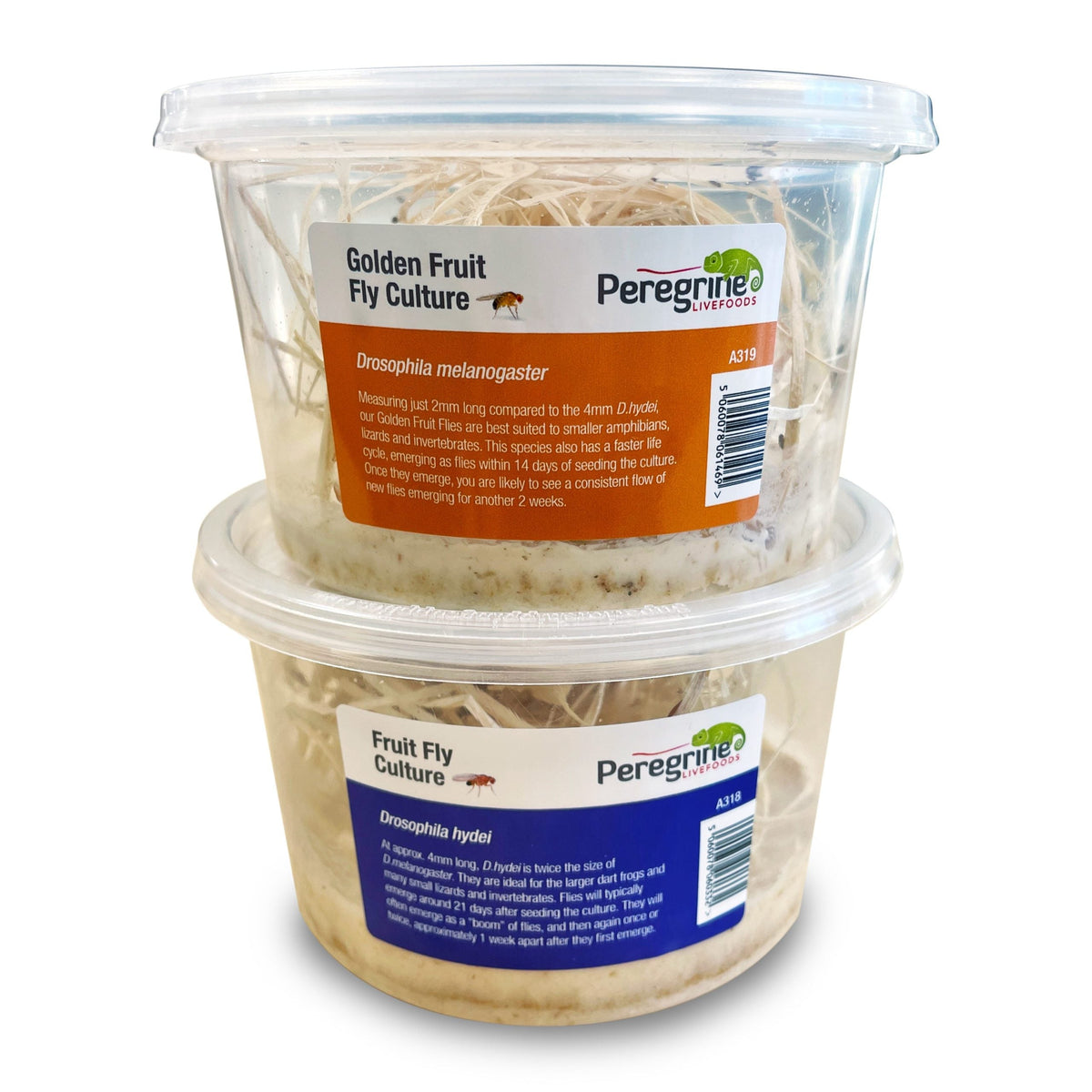 Live Reptile Food | Next Day Delivery | Internet Reptile