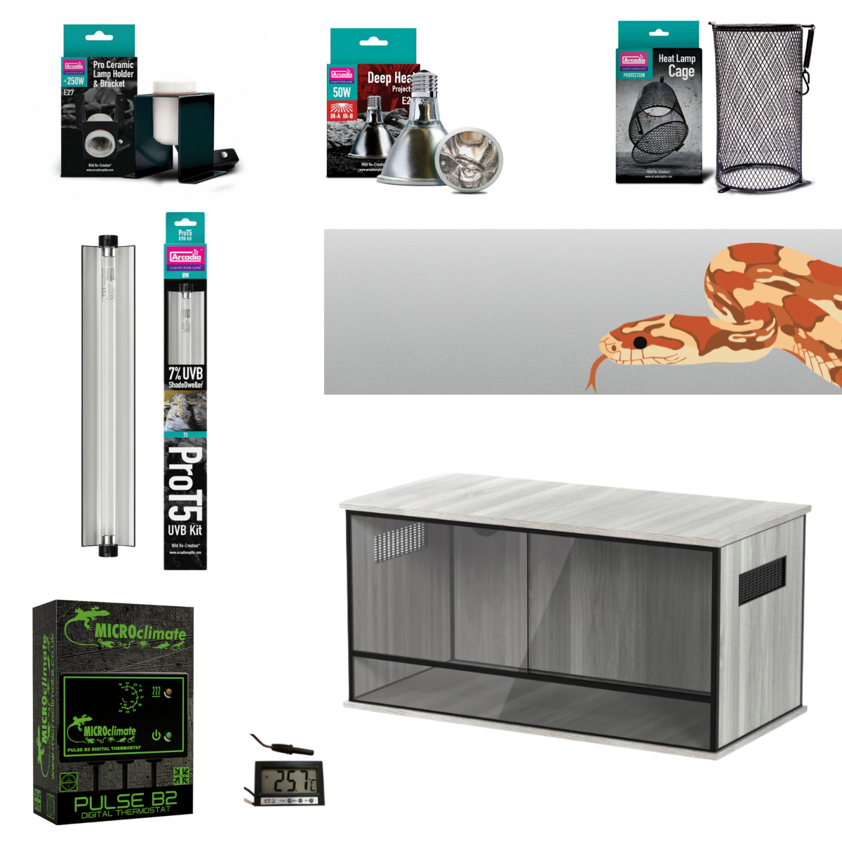 Corn Snake Starter Kit (Silver) 90x45x45cm