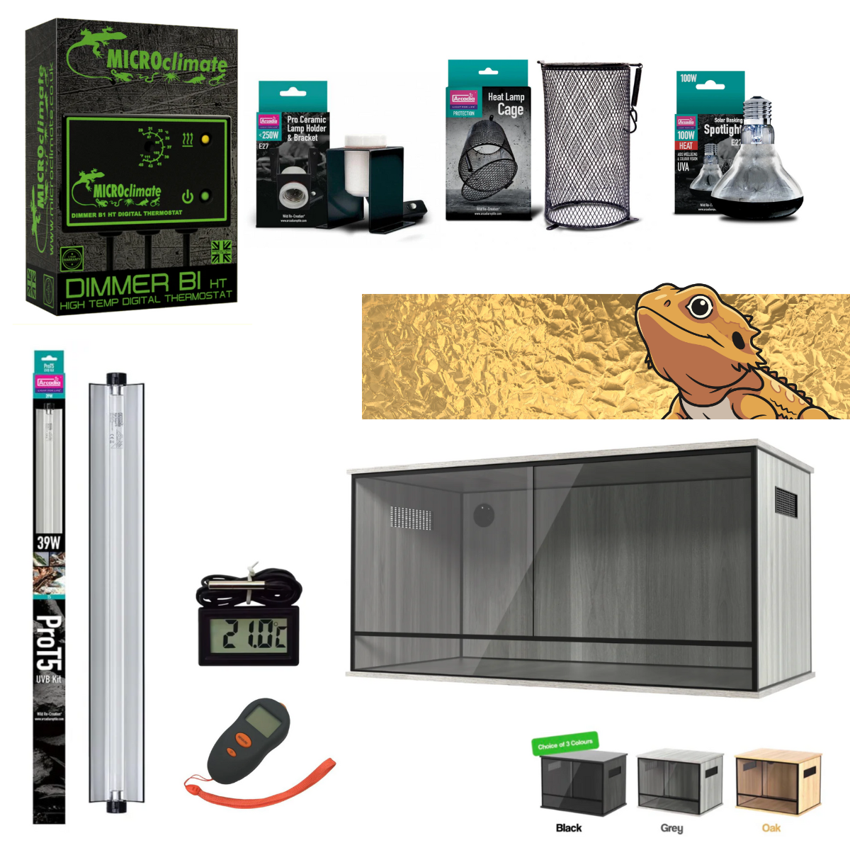 Bearded Dragon Starter Kit (Gold)