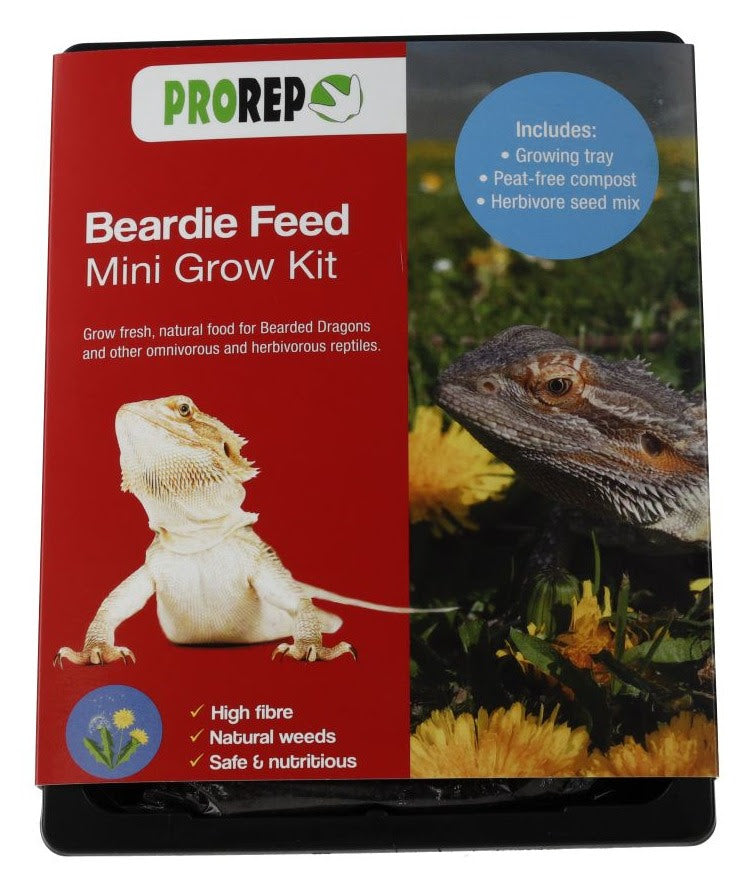 ProRep Beardie Feed - Grow Your Own Mini Kit