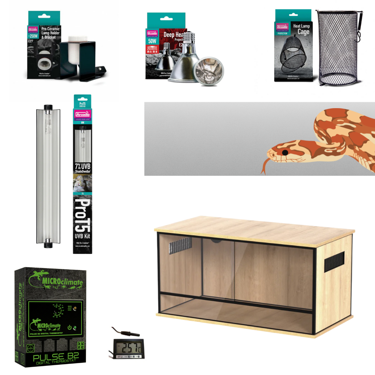 Corn Snake Starter Kit (Silver) 90x45x45cm