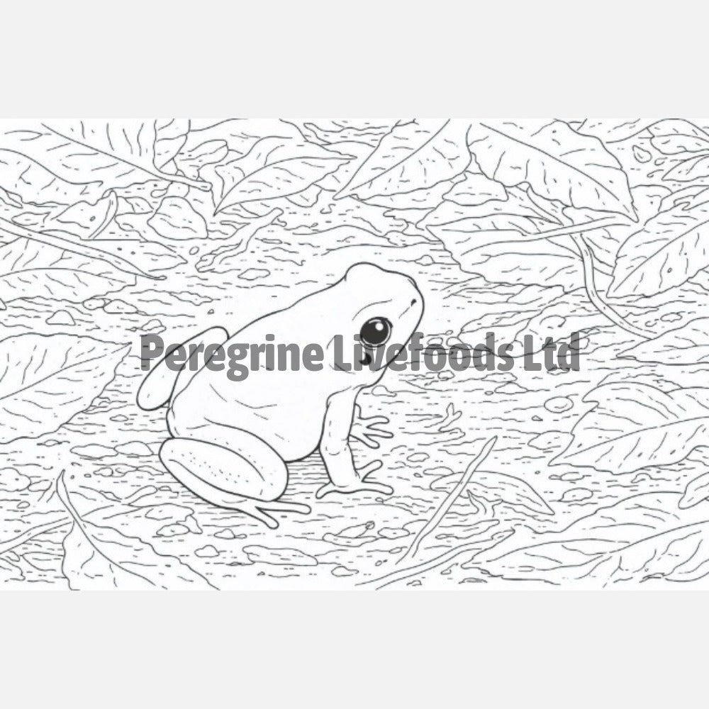 The Colouring Book of Amphibians