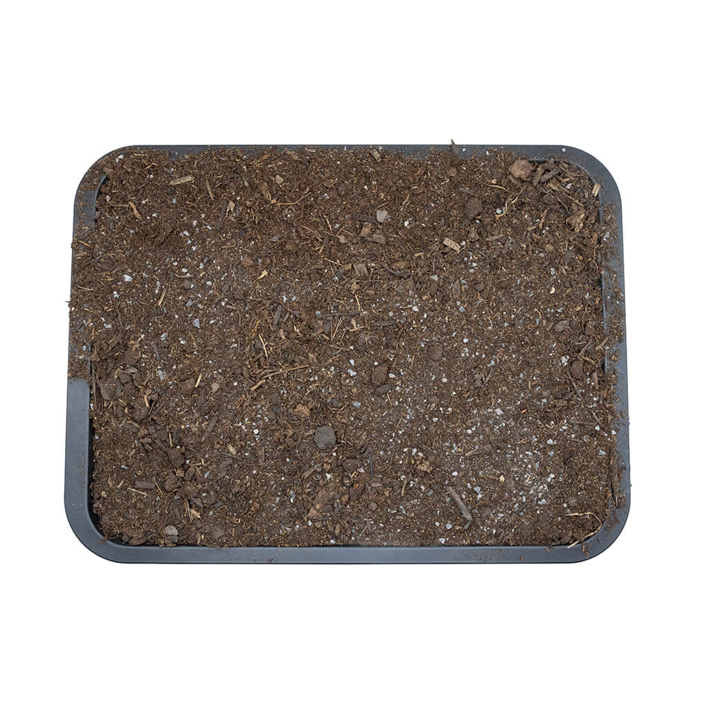 Arcadia EarthMix Bioactive Substrate for Reptiles | Tropical, Arid