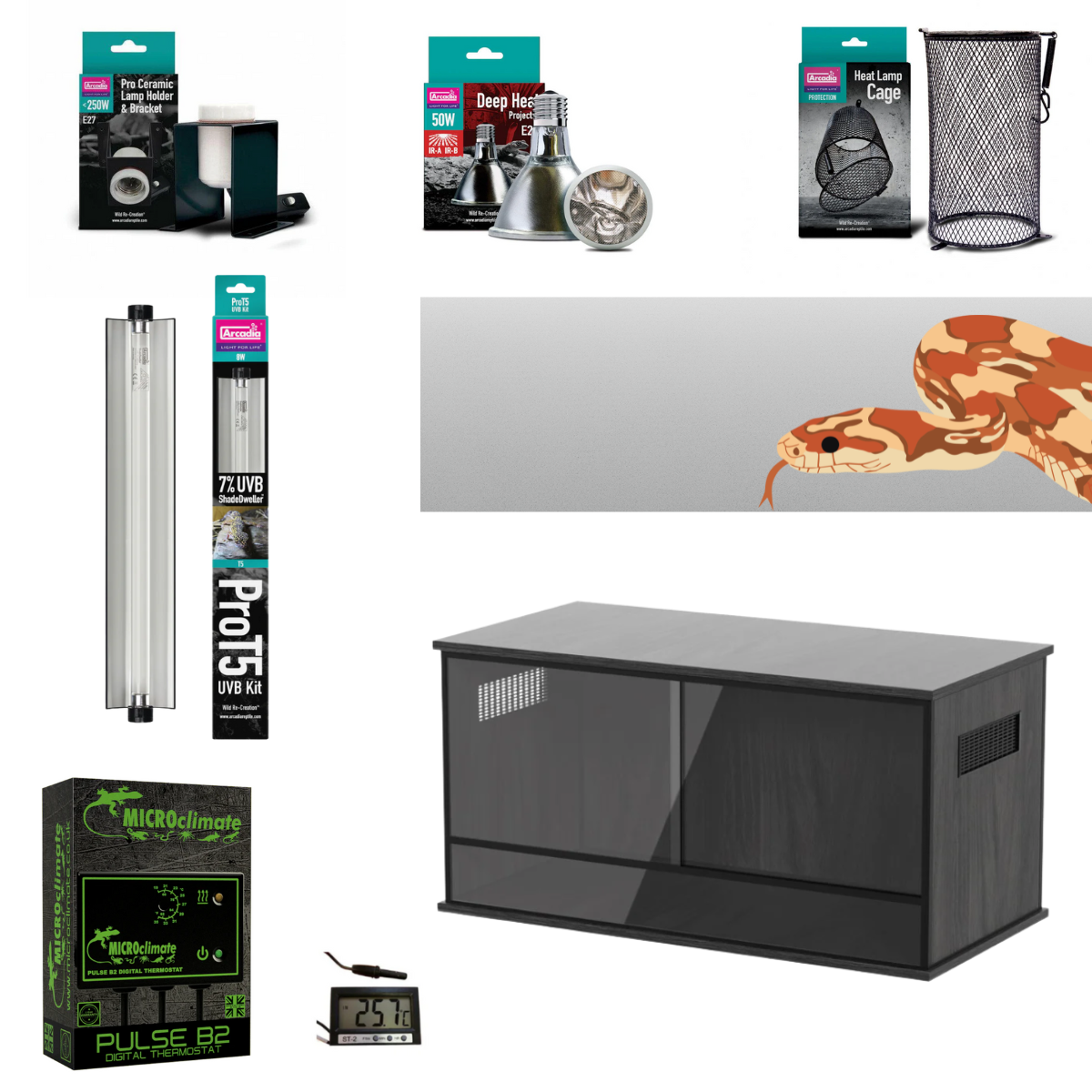 Corn Snake Starter Kit (Silver) 90x45x45cm