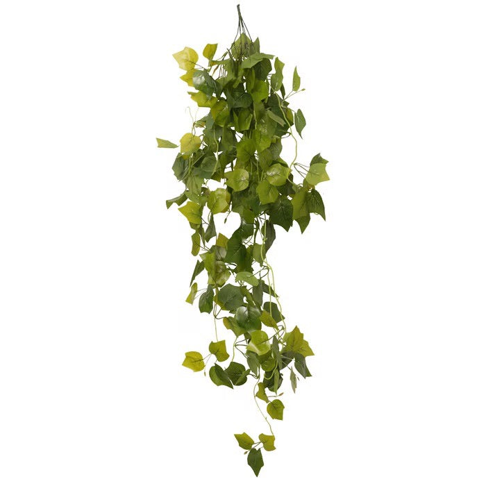HabiStat Hanging Vine Plus, 100cm