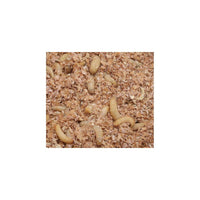 Live Reptile Food | Next Day Delivery | Internet Reptile