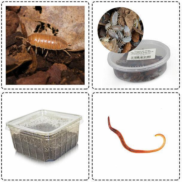 Clean up Crew Bioactive Bundle