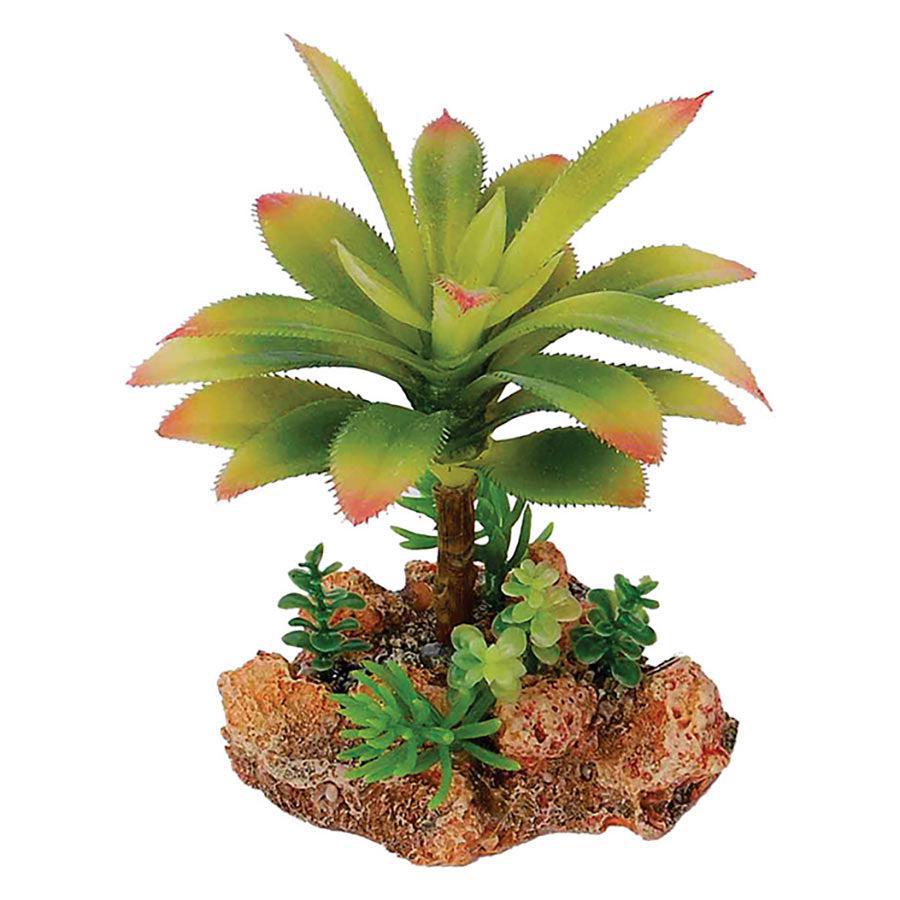 Desert Plant wth Rock Base