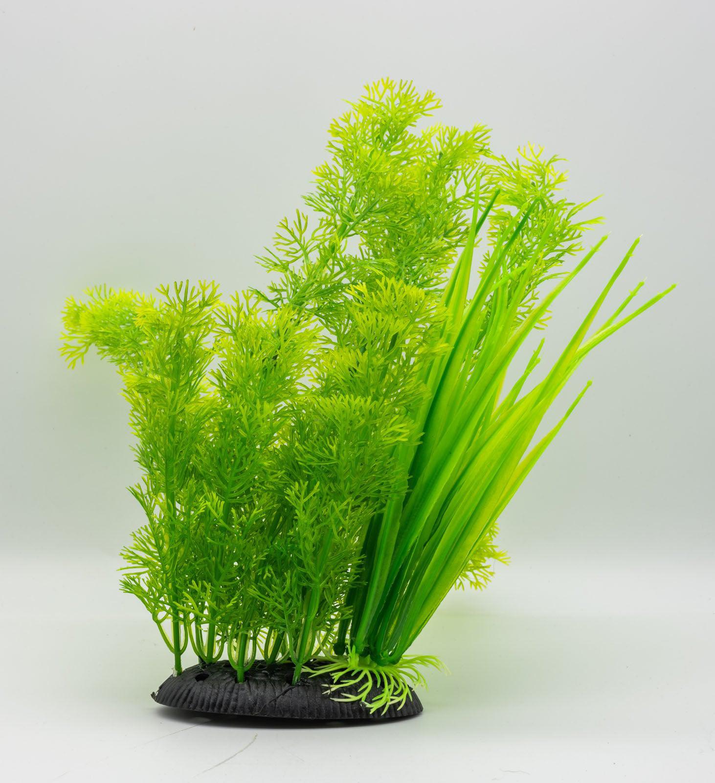 AquaSpectra Kabomba Plant Green, 30cm
