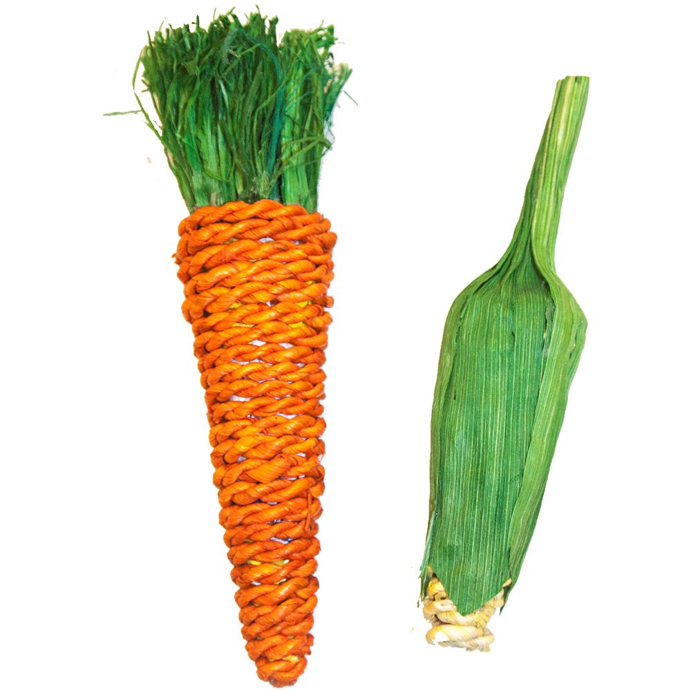 Carrot & Corn Chew Toy