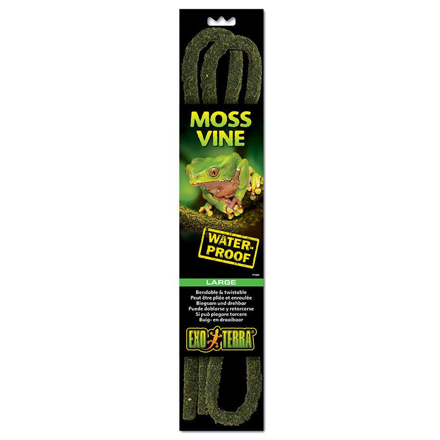 Bendable Moss Vine