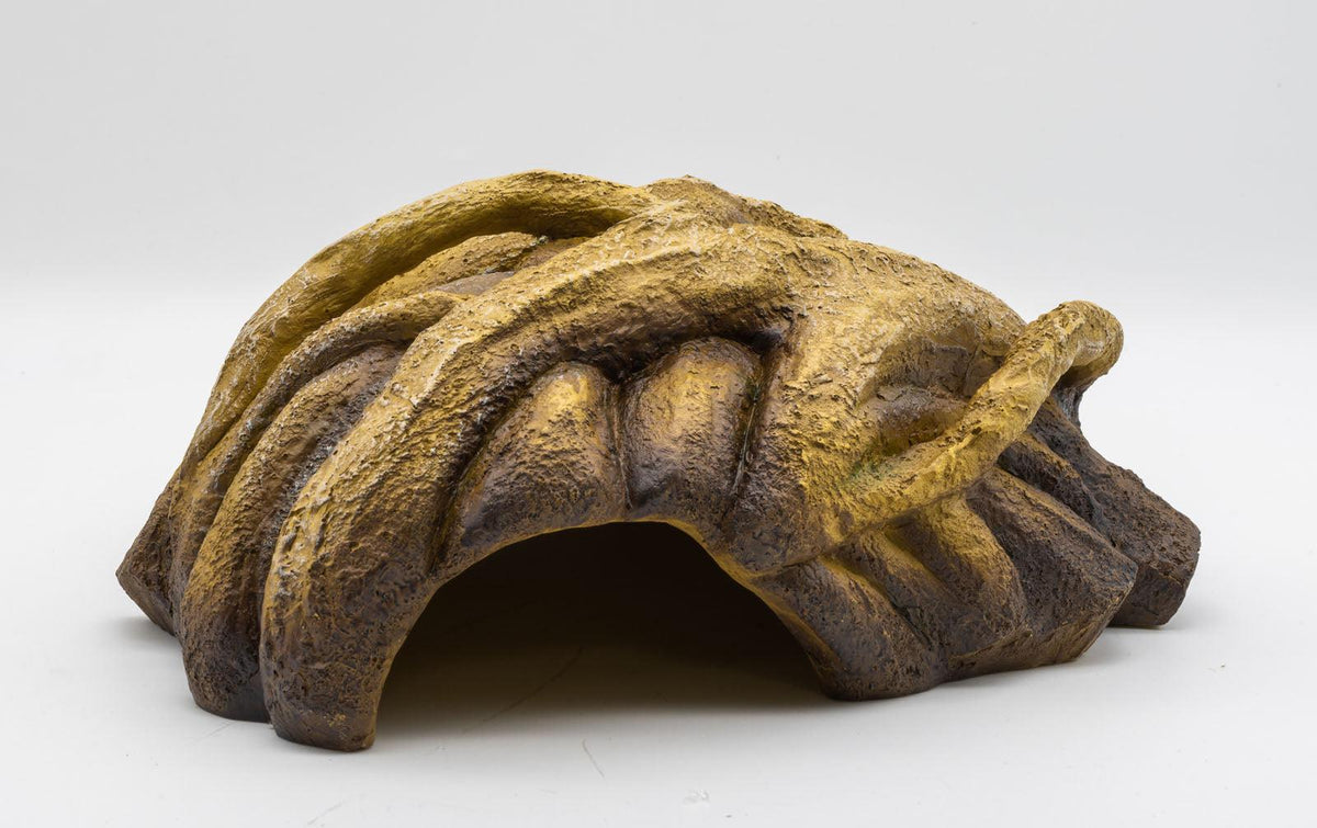 Resin Root Cave