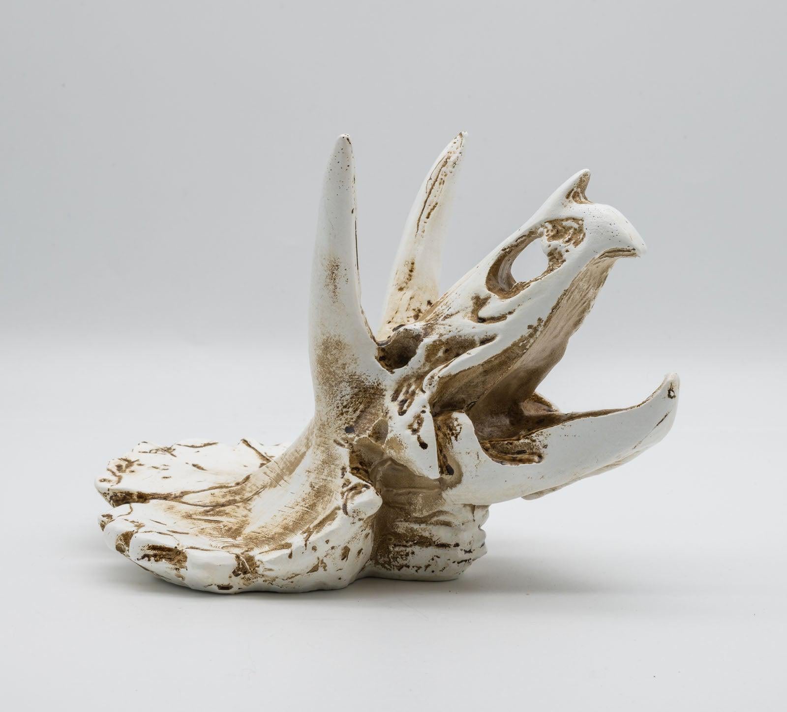 ProRep Resin Triceratops Skull, 17cm