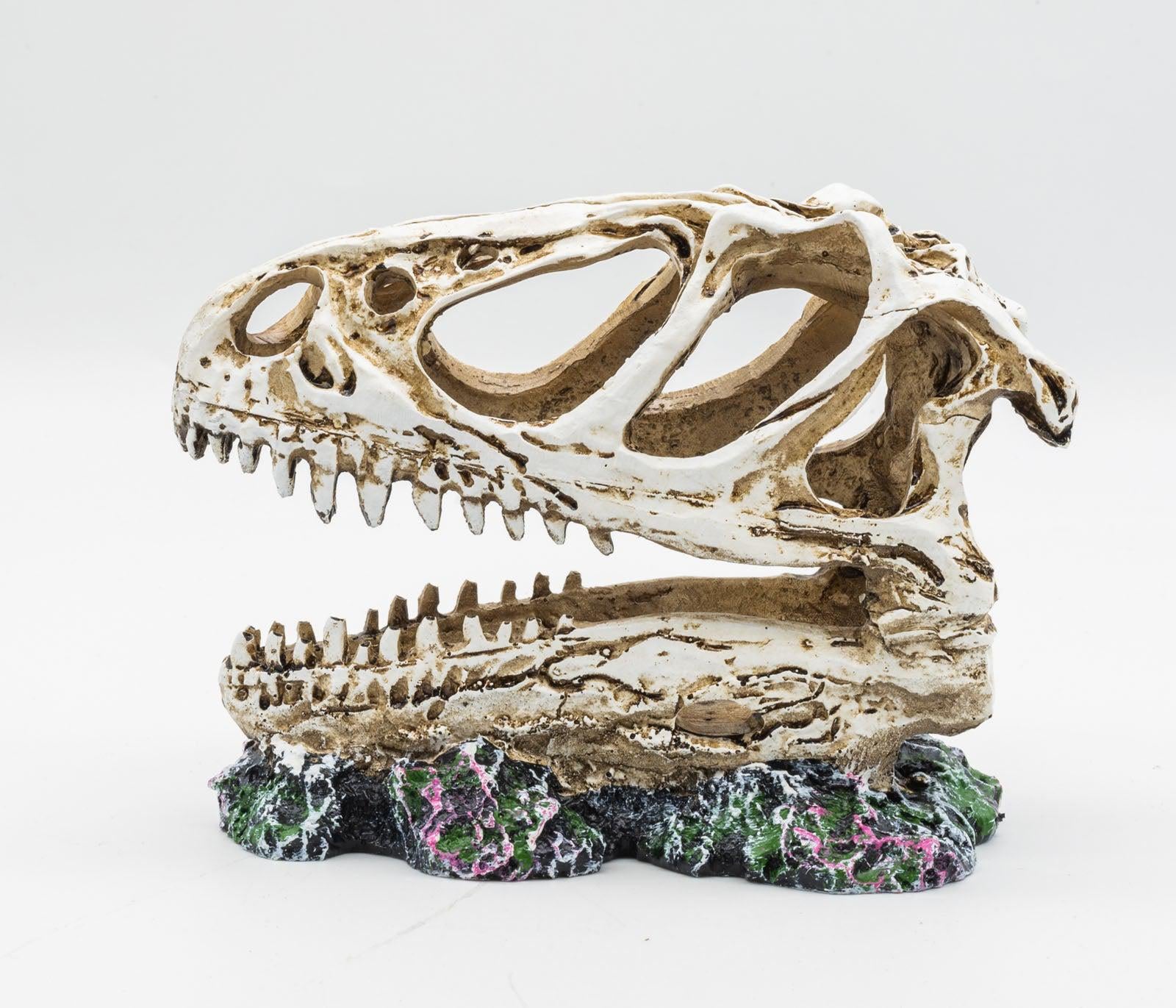 ProRep Resin Allosaurus Skull, 12cm