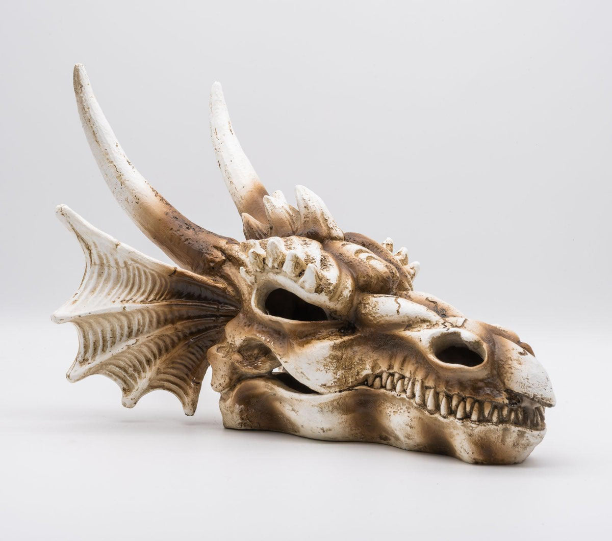 Resin Dragon Skull