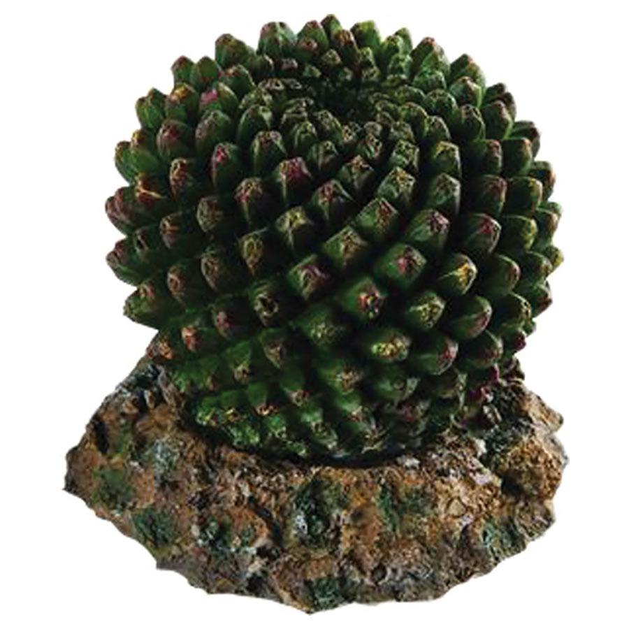 Repstyle Cactus with Rock Base