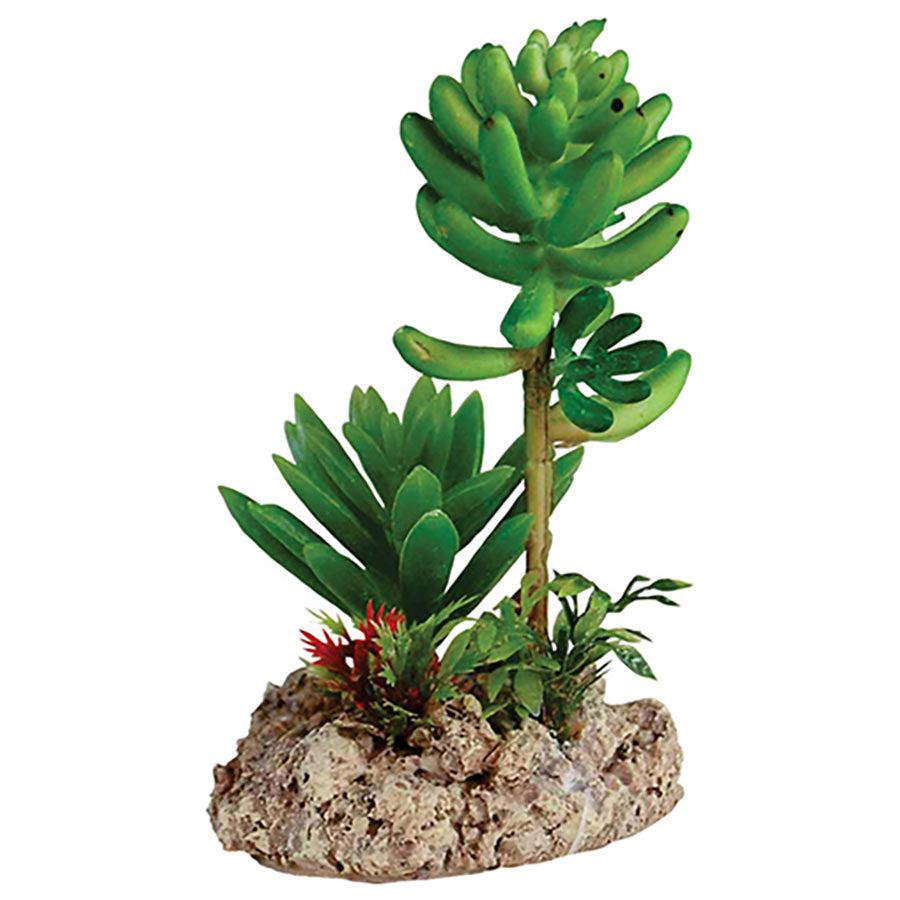 Repstyle Desert Plant with Rock Base