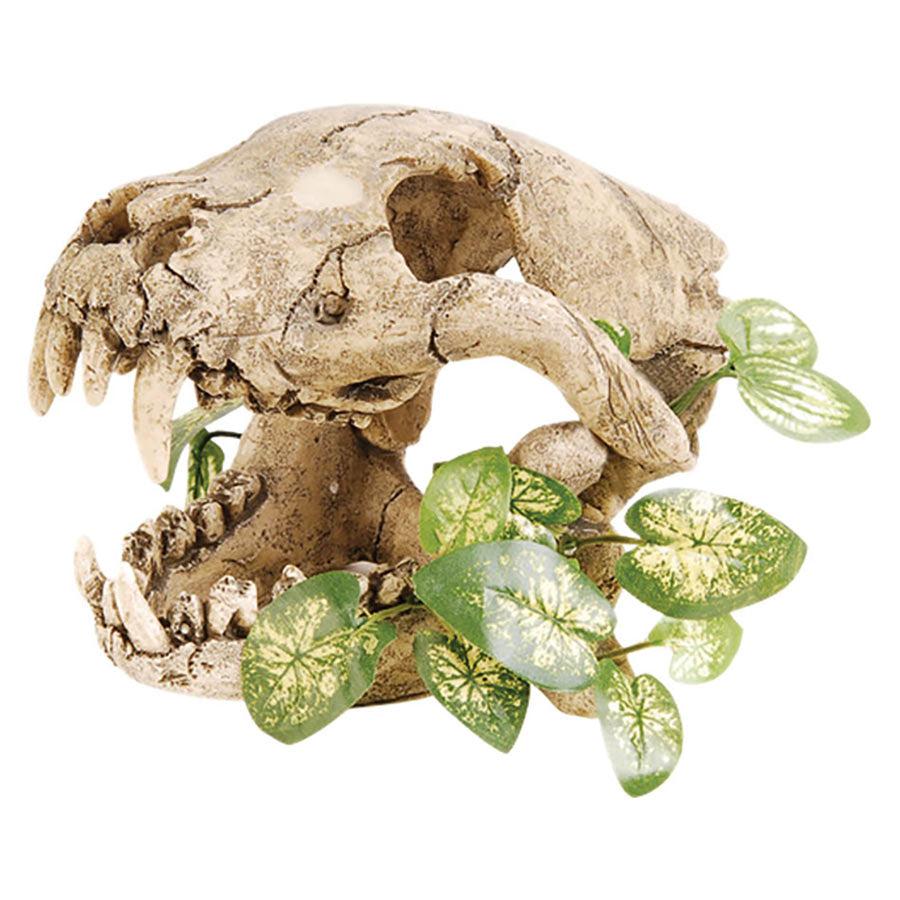 Repstyle Skull with Silk Plant