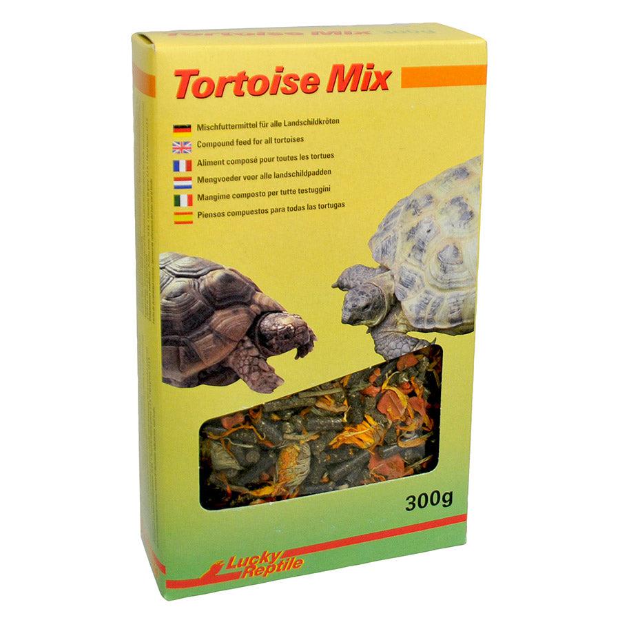Lucky Reptile Tortoise Mix
