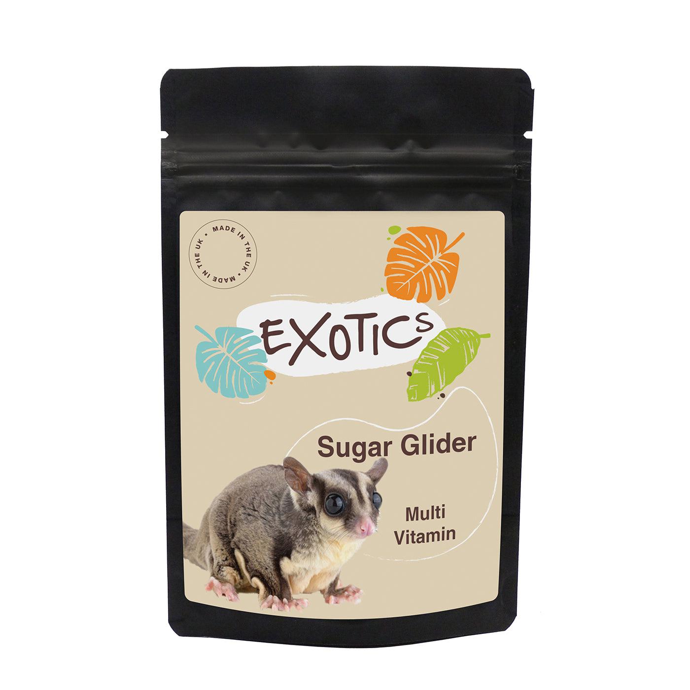 Sugar glider best sale supplies near me