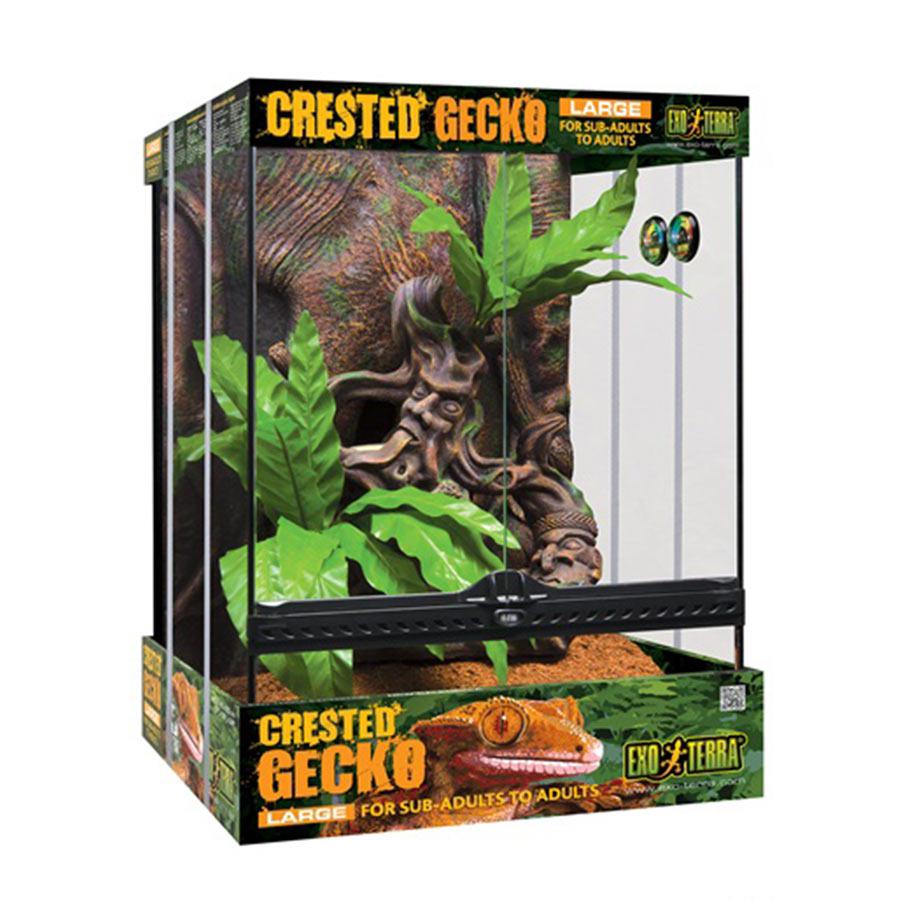 Exo Terra Crested Gecko Kit