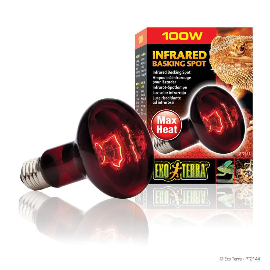 Basking heat outlet lamp