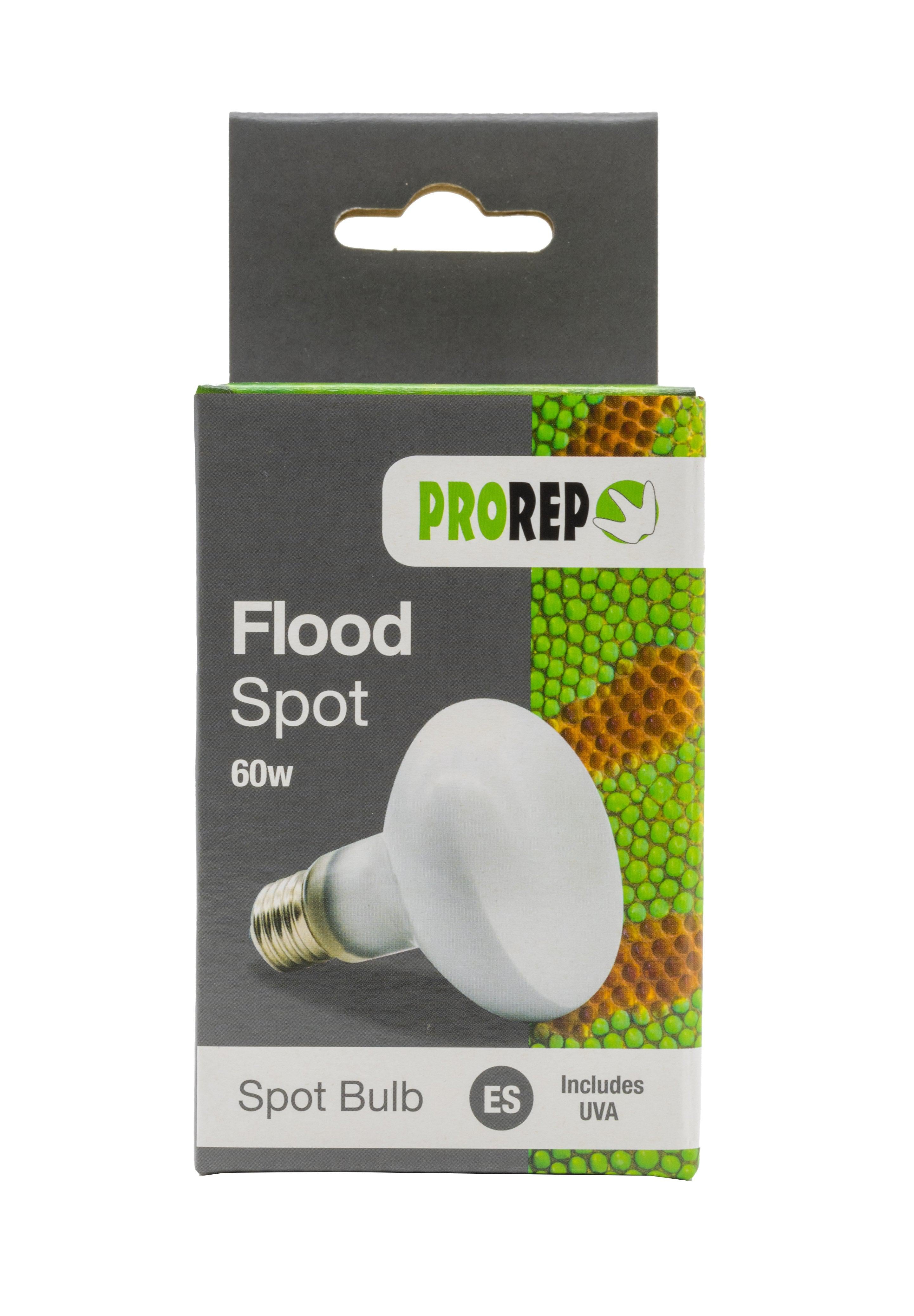 ProRep Flood Lamp