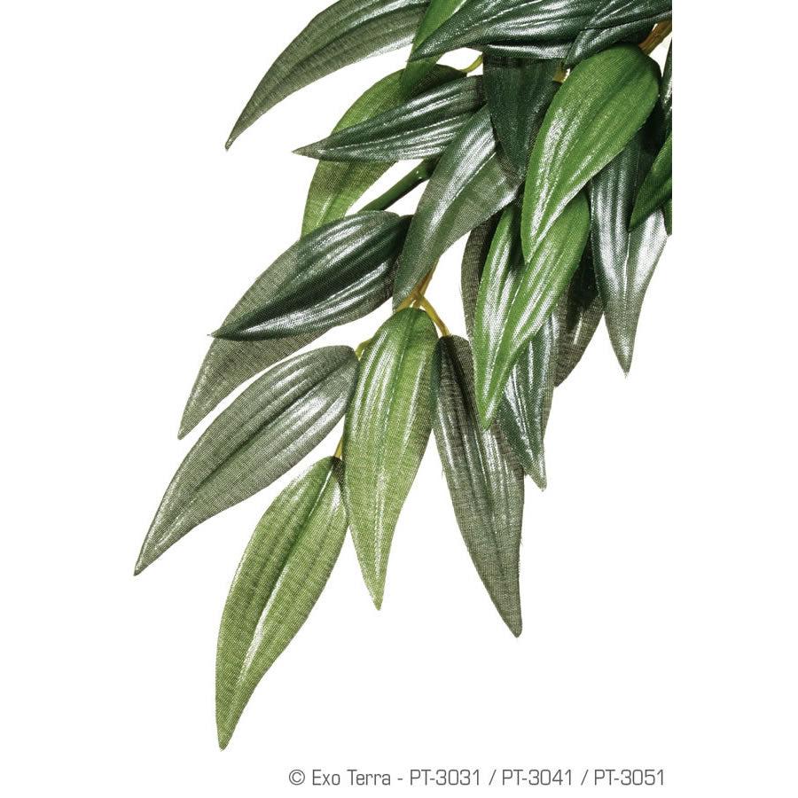 Silk Plant Ruscus