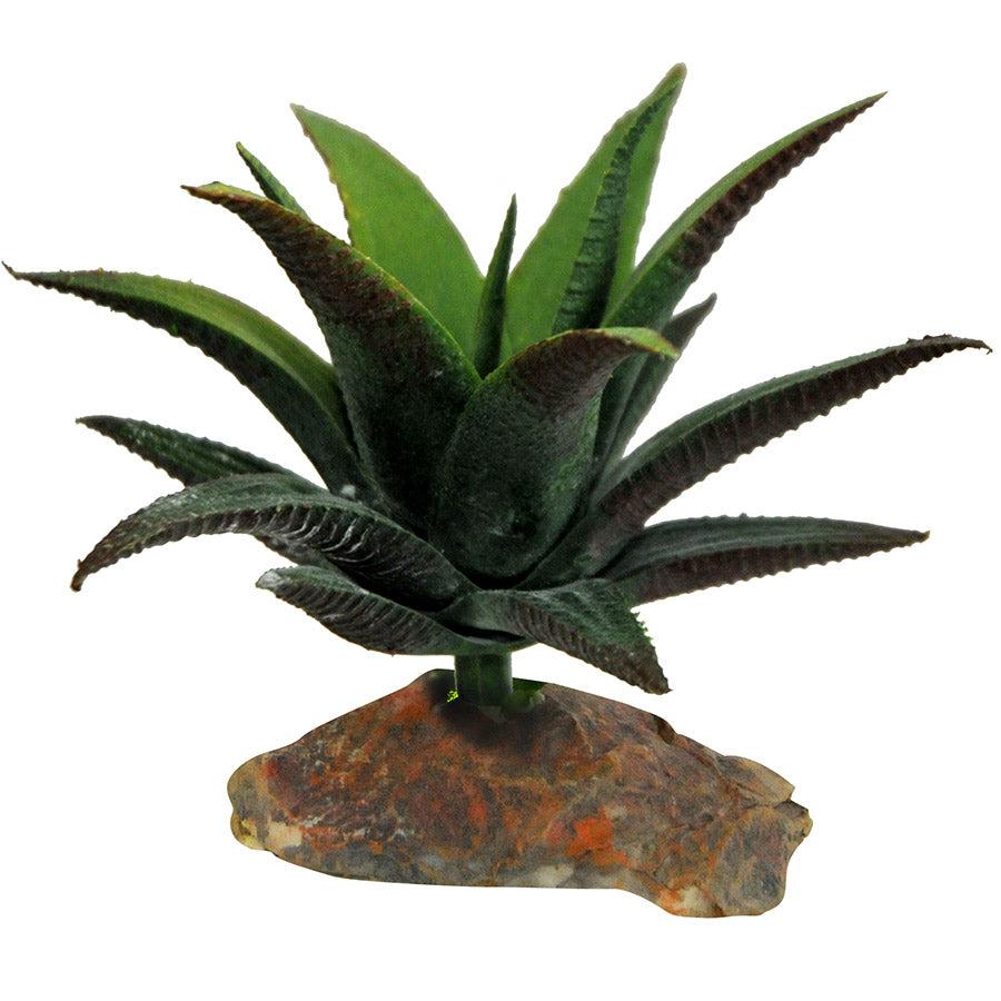 Lucky Reptile Succulent Small IF-90