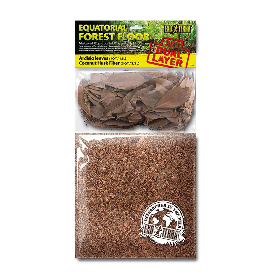 Equatorial Forest Floor Dual Layer