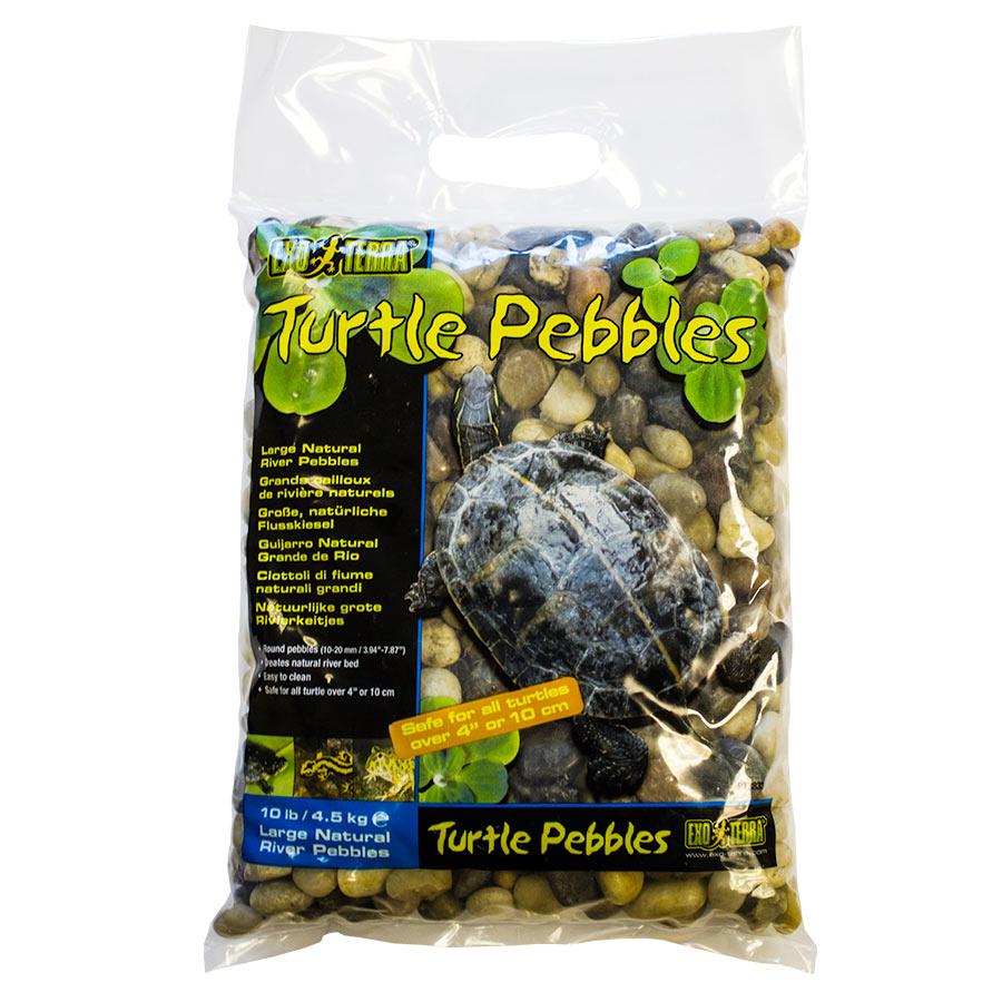 Turtle Pebbles