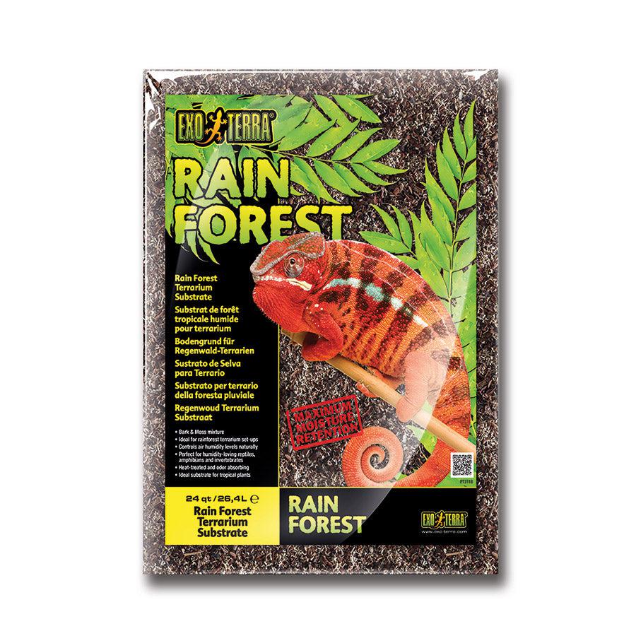 Rain Forest Substrate