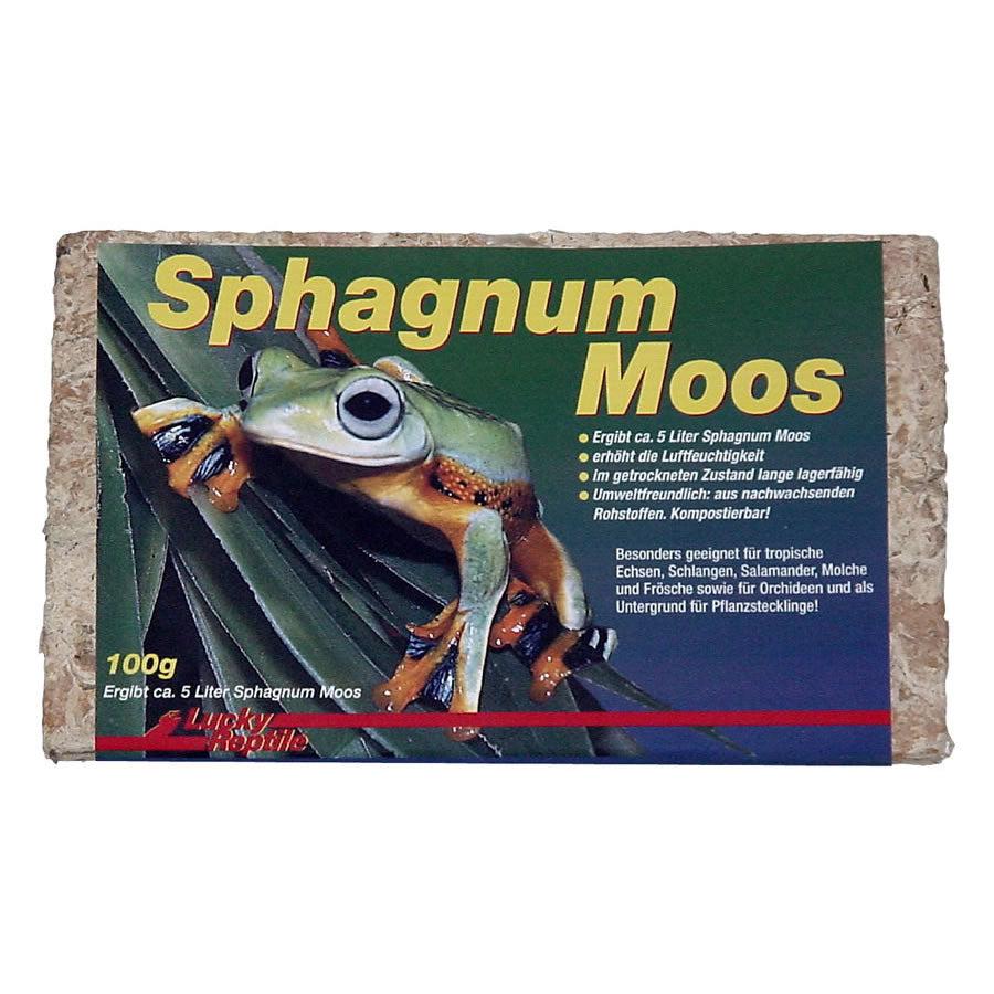 Lucky Reptile Sphagnum Moss brick 100g