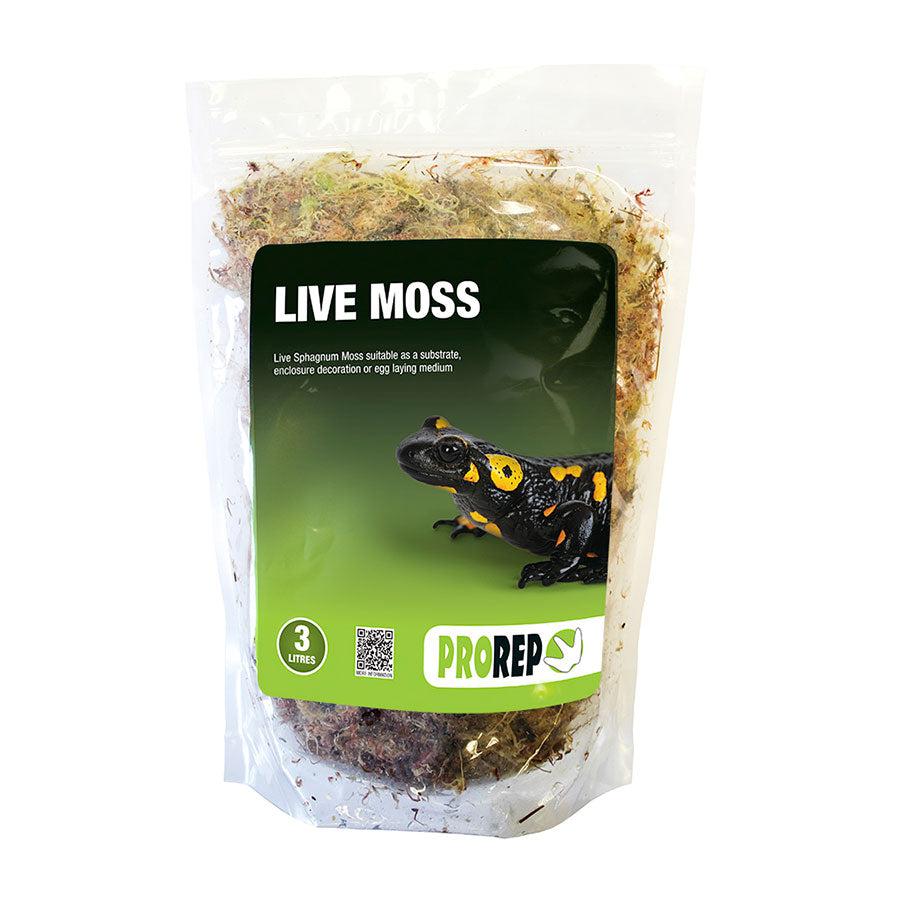 Moisturizing Reptile Moss, Moss For Reptiles, Natural Resin For Pet Reptile  